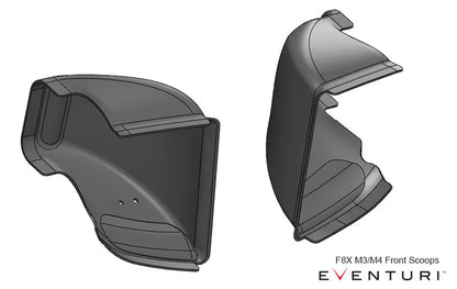 Eventuri Intake System with Sealed Air Ducts BMW M3 F80, M4 F82/83 - EVE-F8XMV2-CF-INT