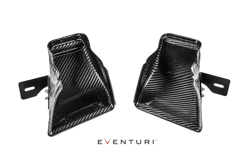 Eventuri Intake System with Sealed Air Ducts BMW M3 F80, M4 F82/83 - EVE-F8XMV2-CF-INT