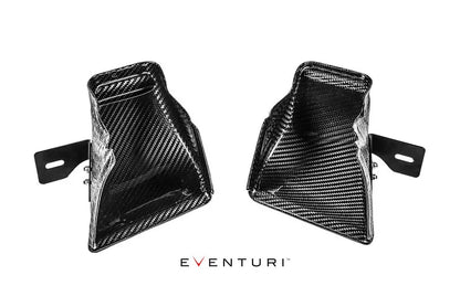 Eventuri Intake System with Sealed Air Ducts BMW M3 F80, M4 F82/83 - EVE-F8XMV2-CF-INT