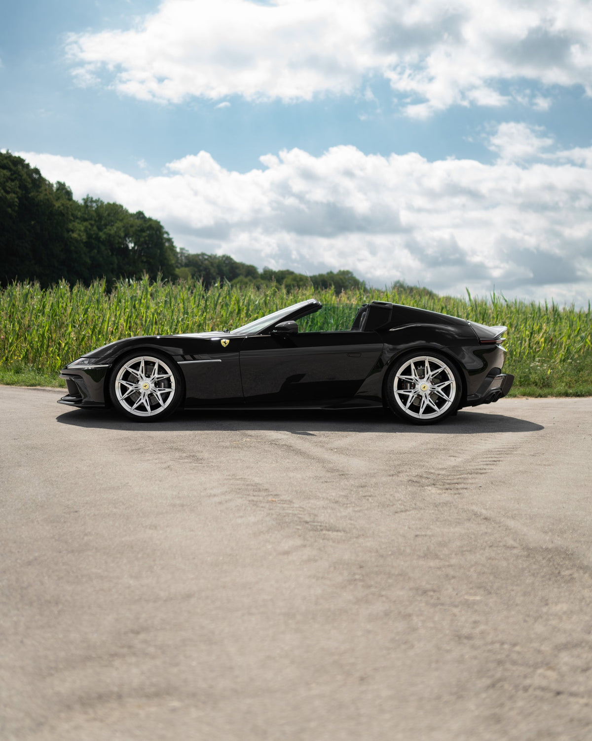 NOVITEC Komplet sprężyn sportowych – Ferrari 12Cilindri / Spider – zdjęcie 2
