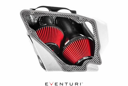 Eventuri Intake System Audi RS7, RS6 C7 - EVE-C7RS6-CF-INT