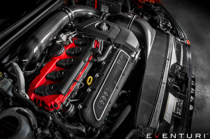 Eventuri Intake System Audi RS3 8V (Gen 1)