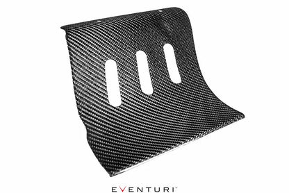 Eventuri Intake System Audi RS4, RS5 B9 - EVE-B9RS5-CF-INT