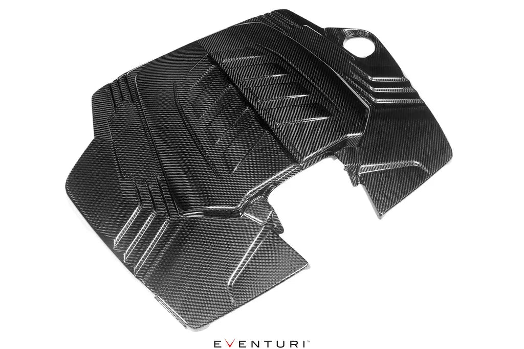 Eventuri Intake System VAG 4.0 TFSI V8 Twin Turbo - EVE-4V8TT-CF-INT