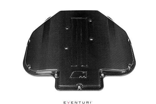 Eventuri Plenum / intake manifold BMW M5 E39, Z8 E52 - EVE-S62-CF-PLM
