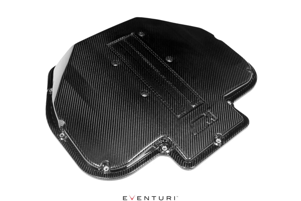 Eventuri Plenum / intake manifold BMW M5 E39, Z8 E52 - EVE-S62-CF-PLM