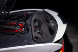 Eventuri Układ dolotowy Chevrolet C8 Z06 Hard Top EVE-Z06HTC-CF-INT - Zdjęcie 6