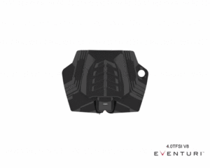 Eventuri Intake System VAG 4.0 TFSI V8 Twin Turbo - EVE-4V8TT-CF-INT