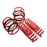 Sprężyny obniżające AST - Nissan Ariya FE0 30/30 mm SUV | ASTLS-24-089 - zdjęcie