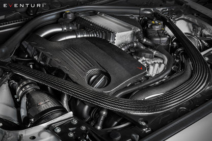 Eventuri Osłona silnika BMW N55 - EVE-N55-ENG