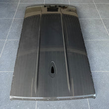 ALPHA-N Carbon Dach do F20 i F21 (2)
