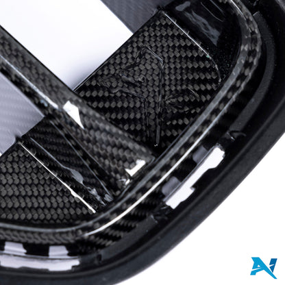 ALPHA-N Carbon Grill "Nerka" do M2 G87 (15)