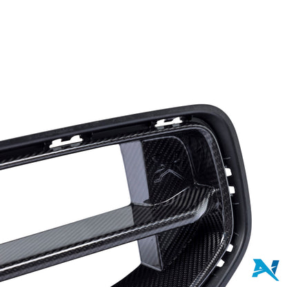 ALPHA-N Carbon Grill "Nerka" do M2 G87 (7)