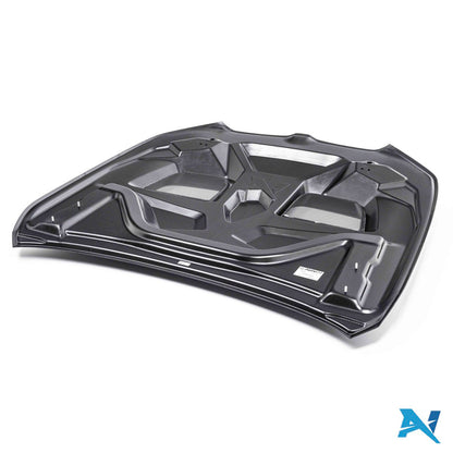 ALPHA-N Carbon Maska silnika do M5 G90 / G99 (11)