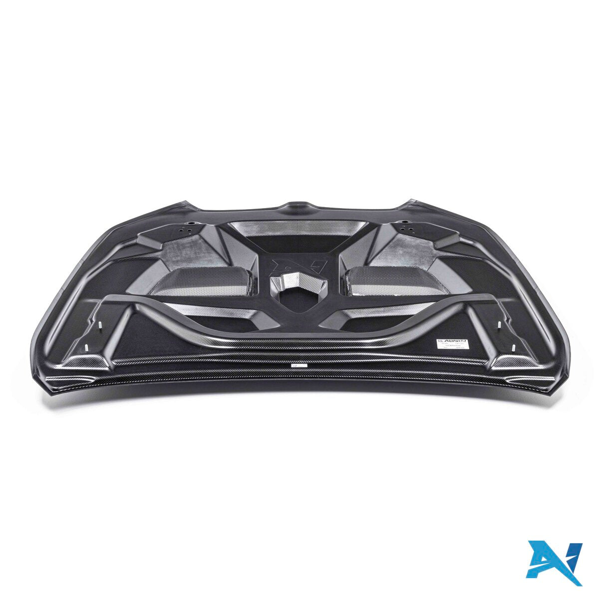 ALPHA-N Carbon Maska silnika do M5 G90 / G99 (12)