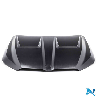 ALPHA-N Carbon Maska silnika do M5 G90 / G99 (14)