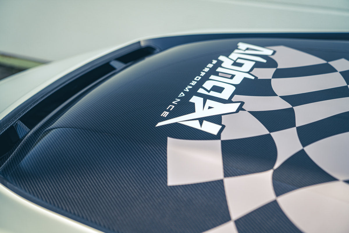 ALPHA-N BMW M2 G87 DEMOCAR (4)